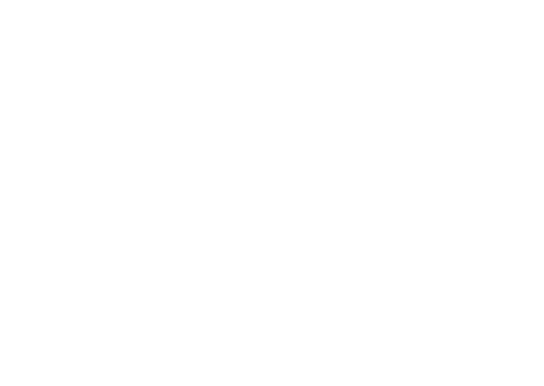 Custom Icon Seamless