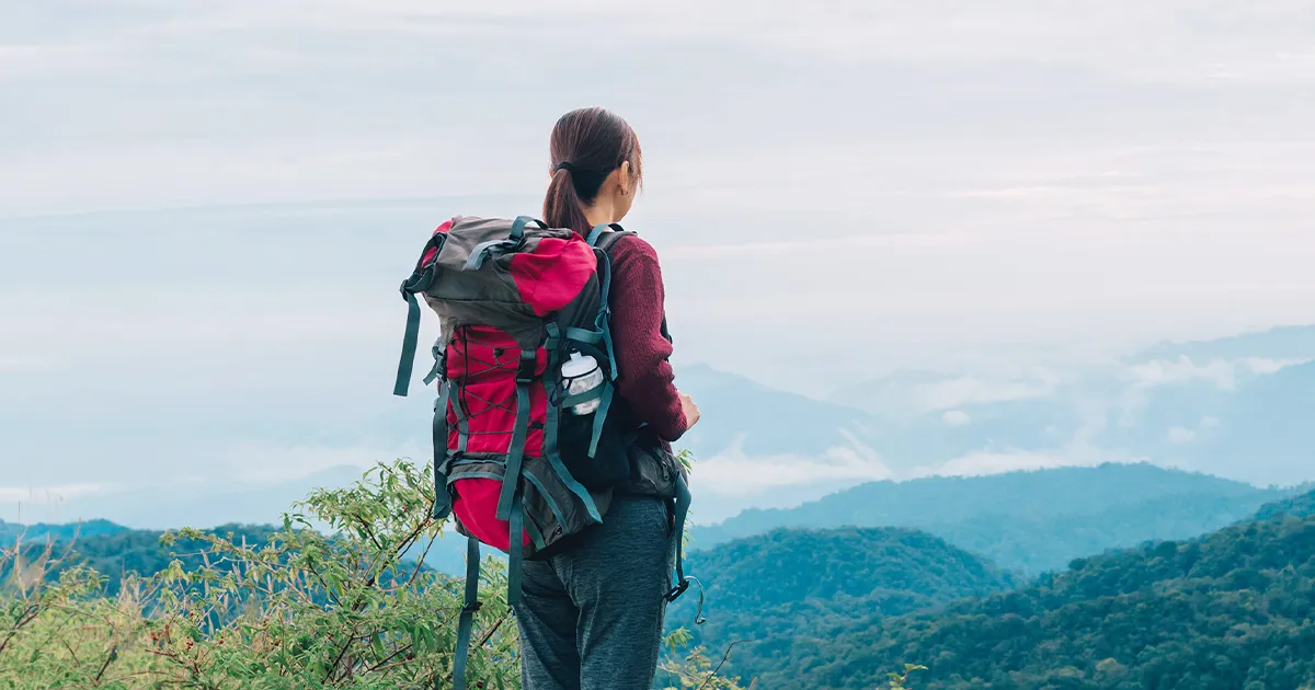 beginner hiking trail in Kuala Lumpur forest with scenic greenery and walking path for hikers