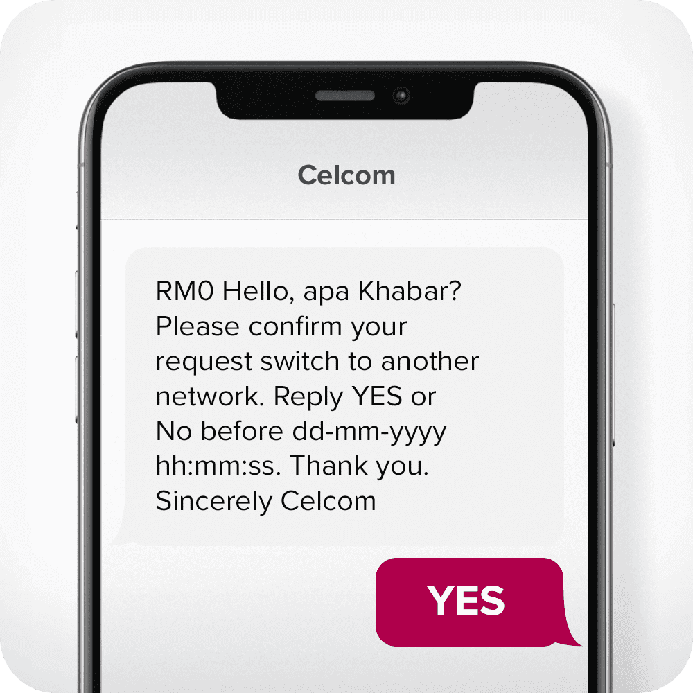 During Port in Celcom