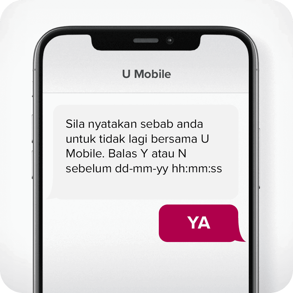During Port in UMobile